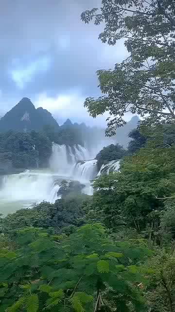 女生和你聊天总爱说哈哈哈哈是什么意思?知识星球 - 分享与探索